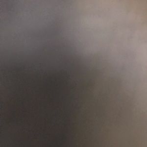 Meet your Posher, Songul